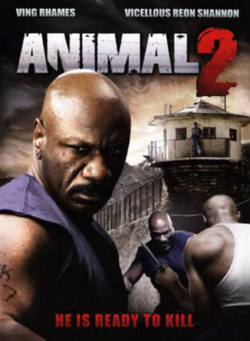 Captura-de-pantalla-2024-11-19-a-las-19.23.37-362x494